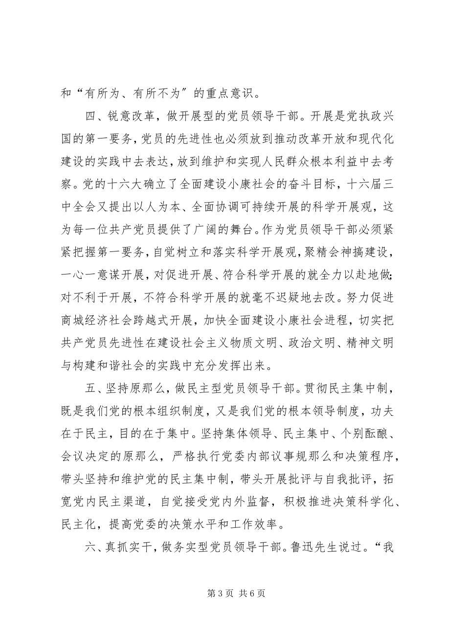 2023年县级党员领导干部先进性标准之我见.docx_第3页