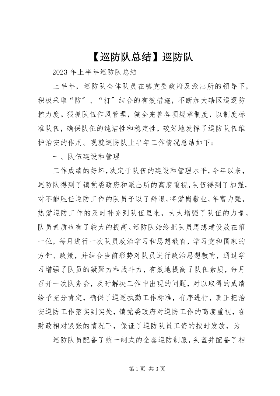 2023年巡防队总结巡防队.docx_第1页