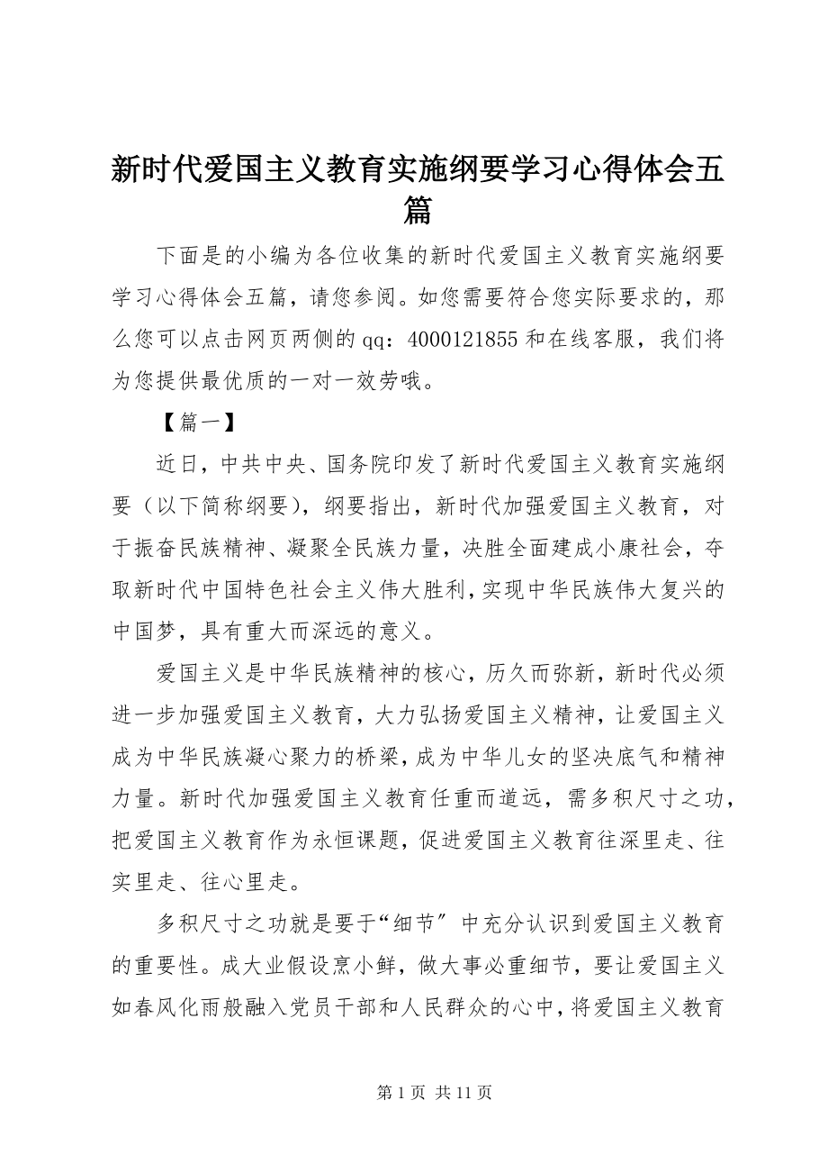 2023年《新时代爱国主义教育实施纲要》学习心得体会五篇新编.docx_第1页