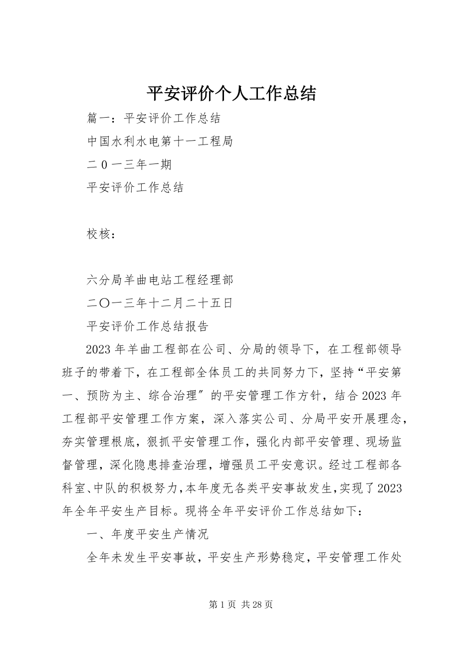 2023年安全评价个人工作总结新编.docx_第1页