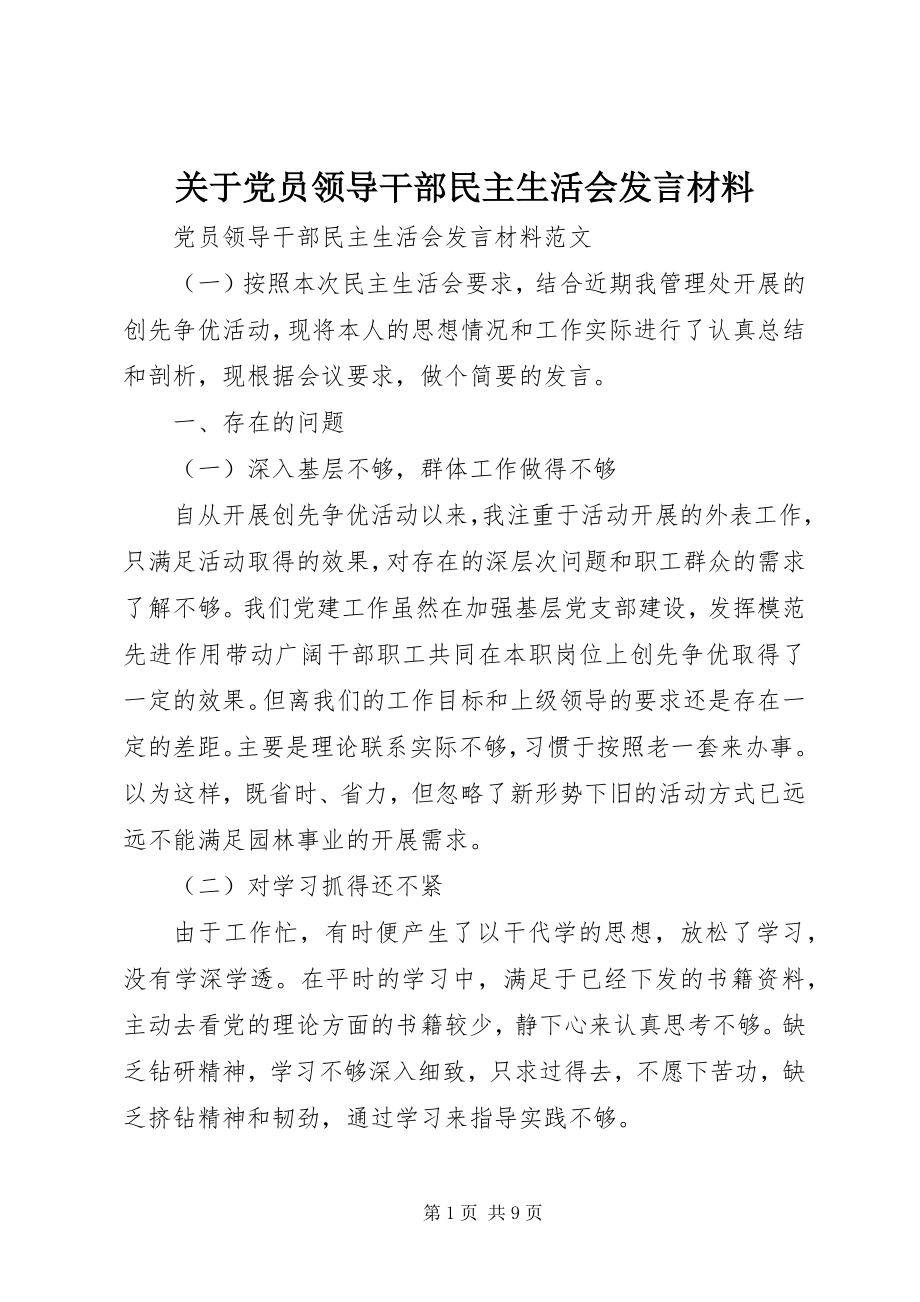 2023年党员领导干部民主生活会讲话材料2.docx_第1页