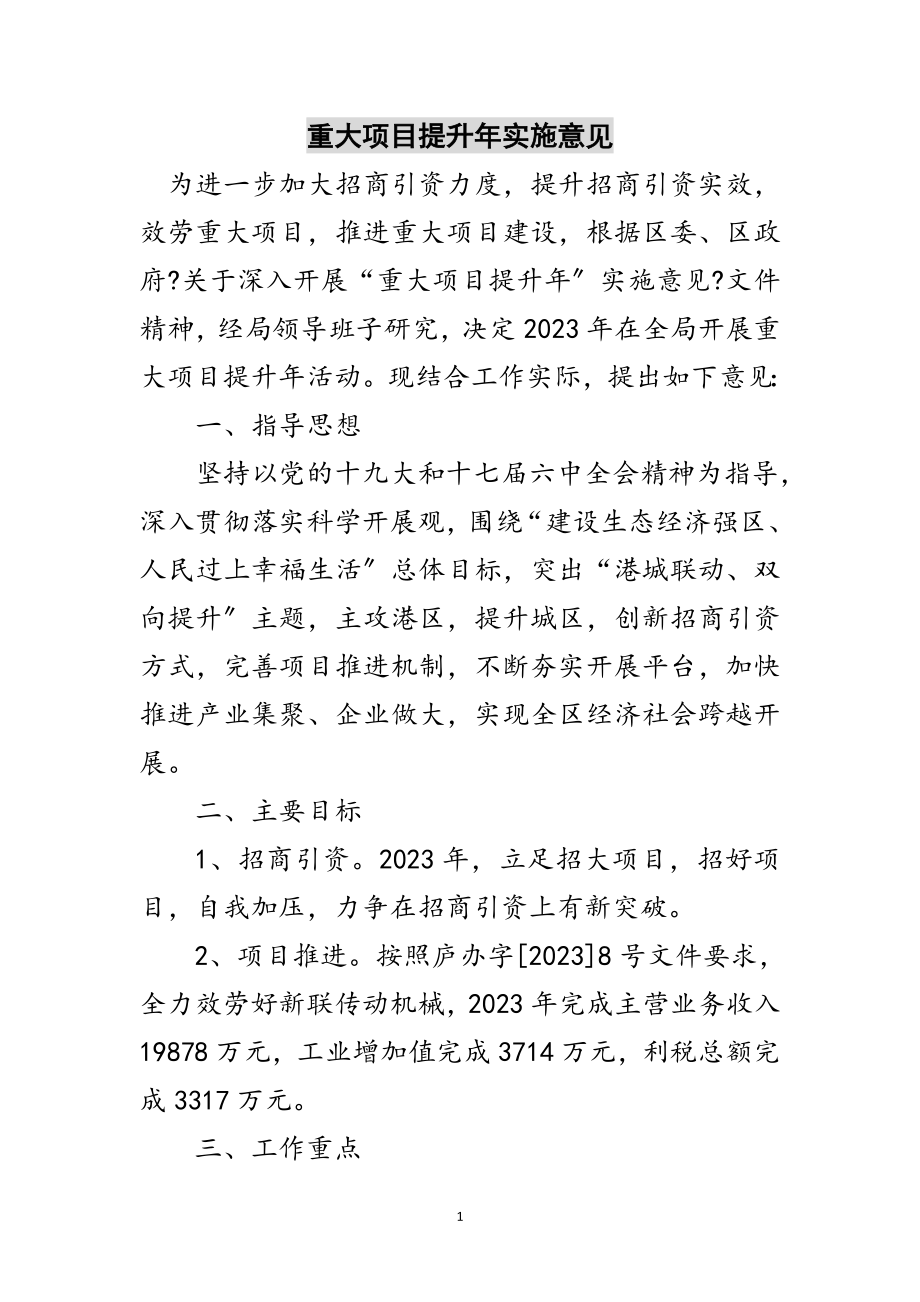 2023年重大项目提升年实施意见范文.doc_第1页