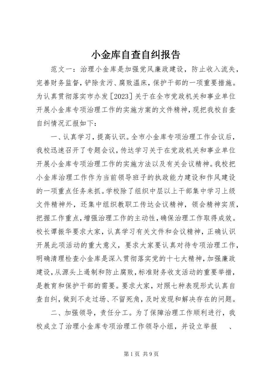 2023年小金库自查自纠报告.docx_第1页