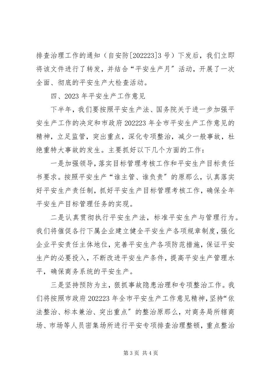 2023年商务局安全生产活动自查汇报材料.docx_第3页