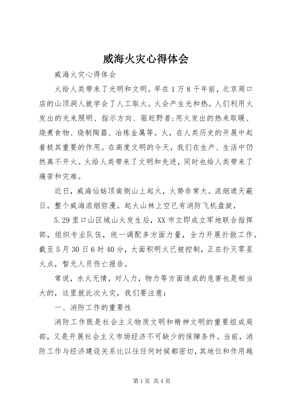 2023年威海火灾心得体会.docx_第1页