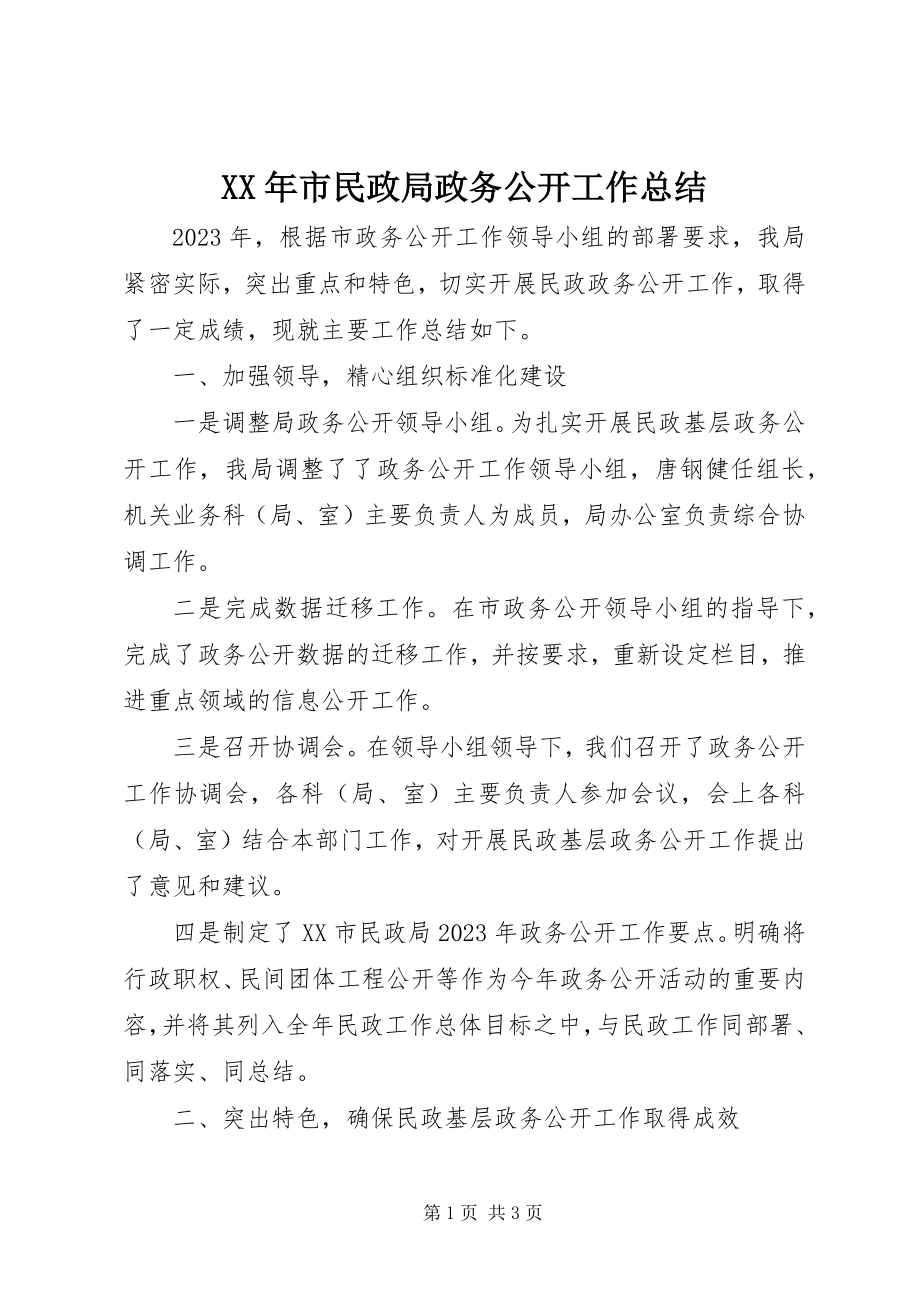 2023年市民政局政务公开工作总结.docx_第1页