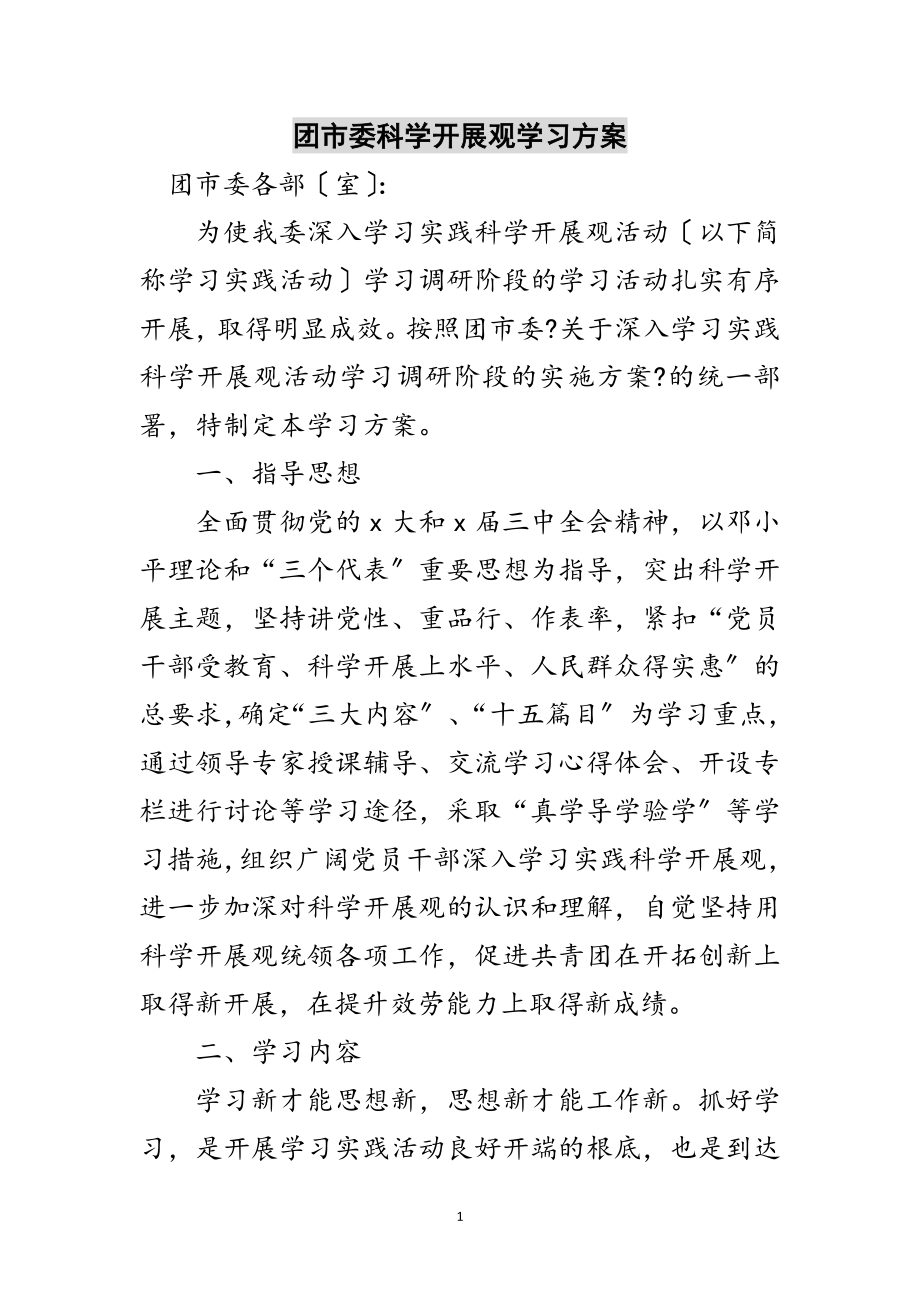 2023年团市委科学发展观学习计划范文.doc_第1页