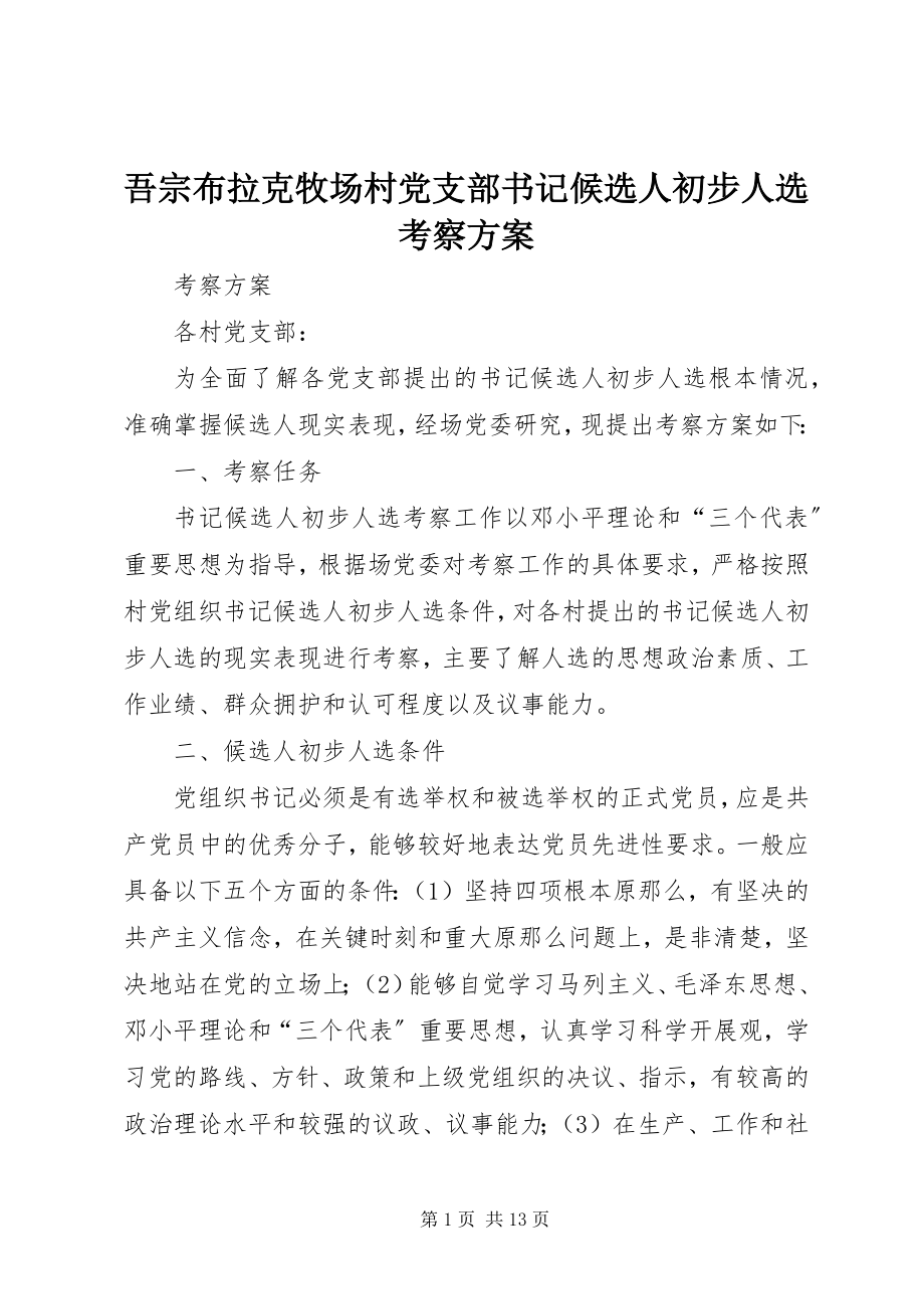 2023年吾宗布拉克牧场村党支部书记候选人初步人选考察方案.docx_第1页