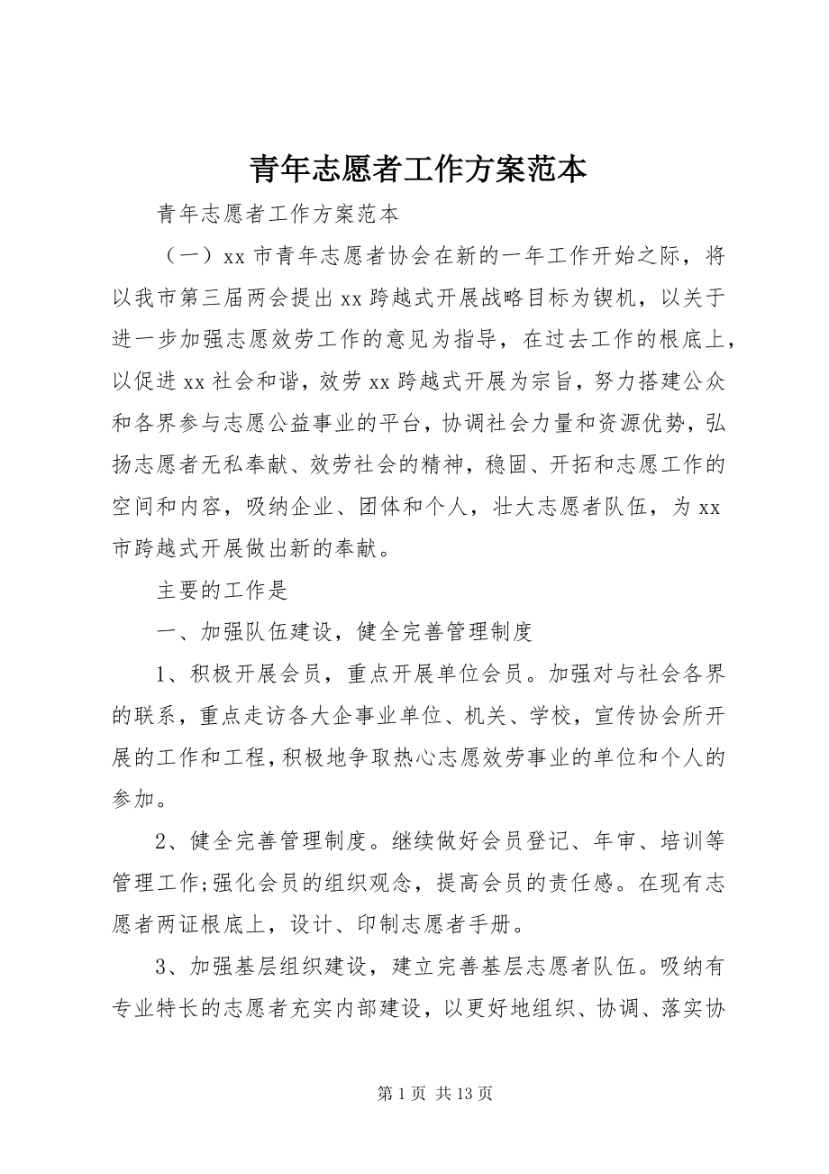 2023年青年志愿者工作计划范本.docx_第1页