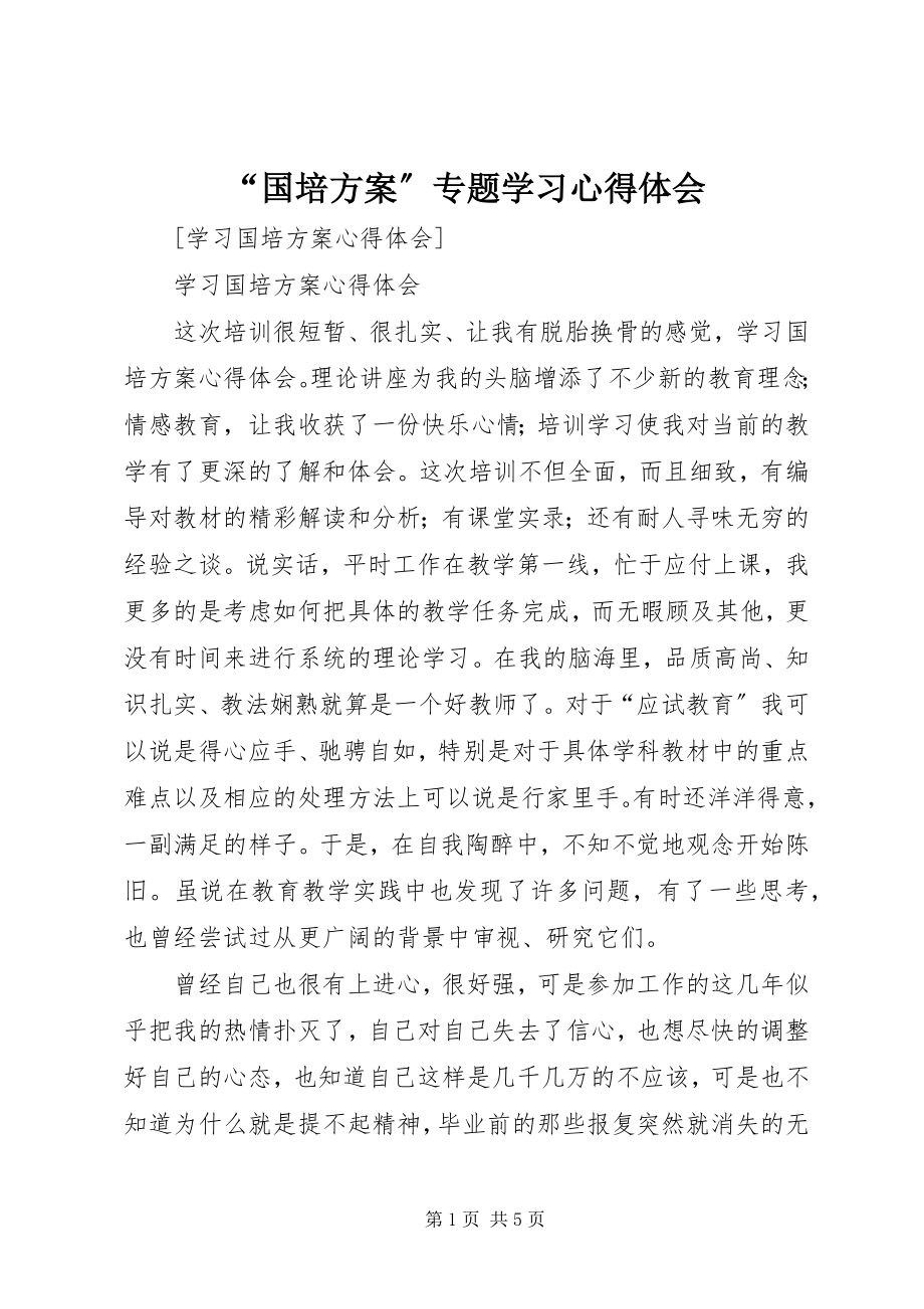 2023年国培计划专题学习心得体会.docx_第1页