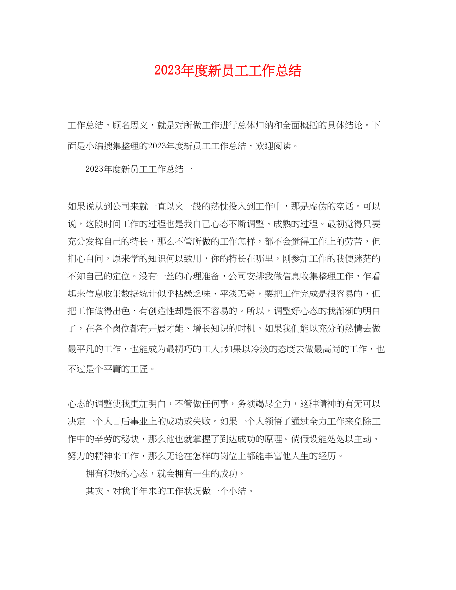 2023年度新员工工作总结.docx_第1页