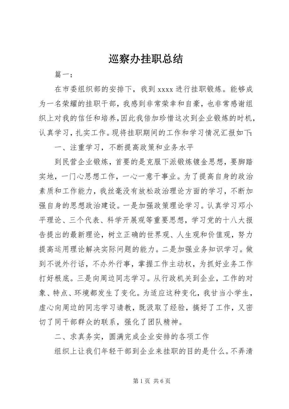 2023年巡察办挂职总结.docx_第1页