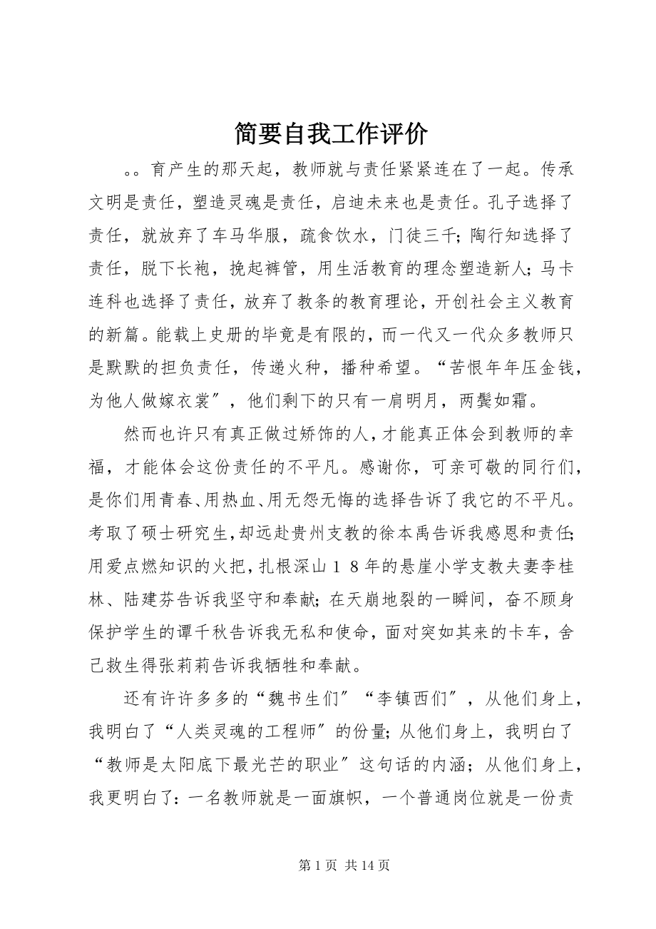 2023年简要自我工作评价.docx_第1页