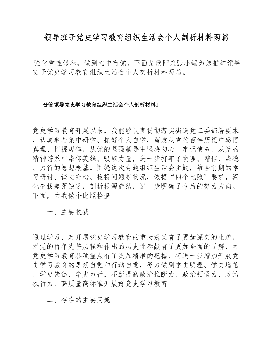 2023年领导班子党史学习教育组织生活会个人剖析材料两篇.doc_第1页