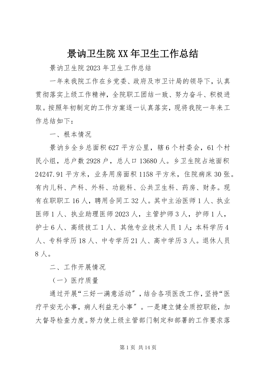 2023年景讷卫生院卫生工作总结.docx_第1页