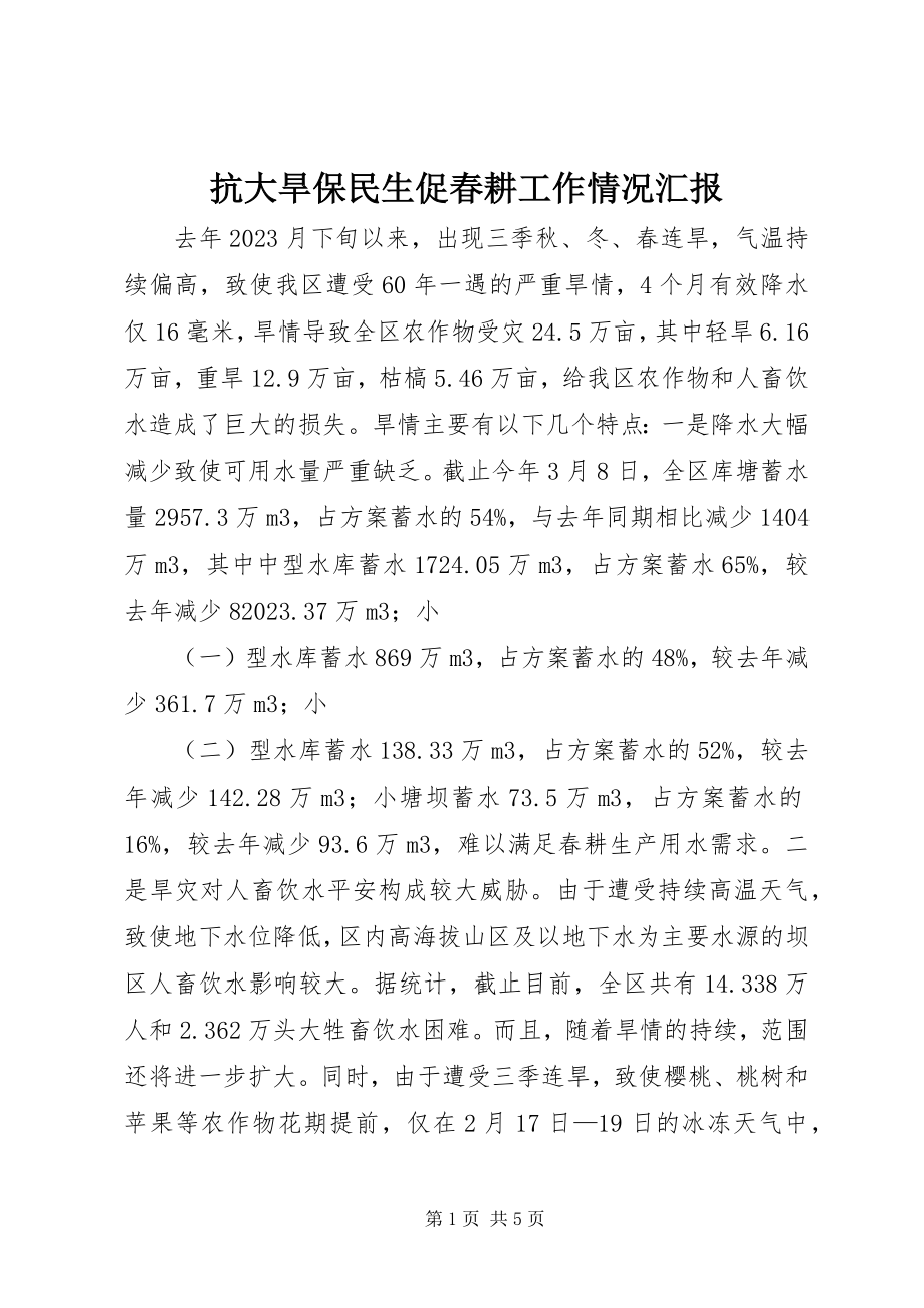 2023年抗大旱保民生促春耕工作情况汇报.docx_第1页