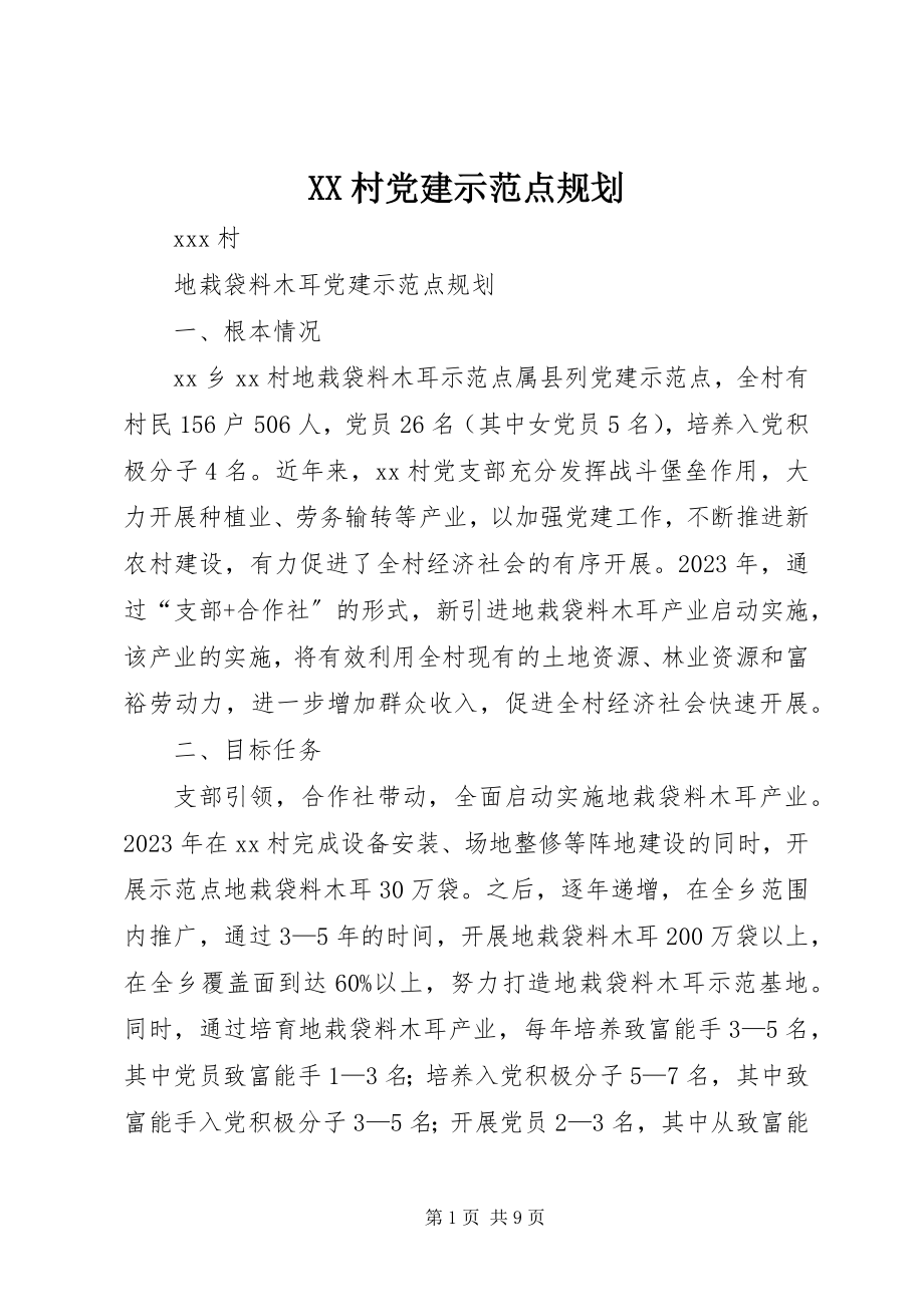 2023年XX村党建示范点规划新编.docx_第1页