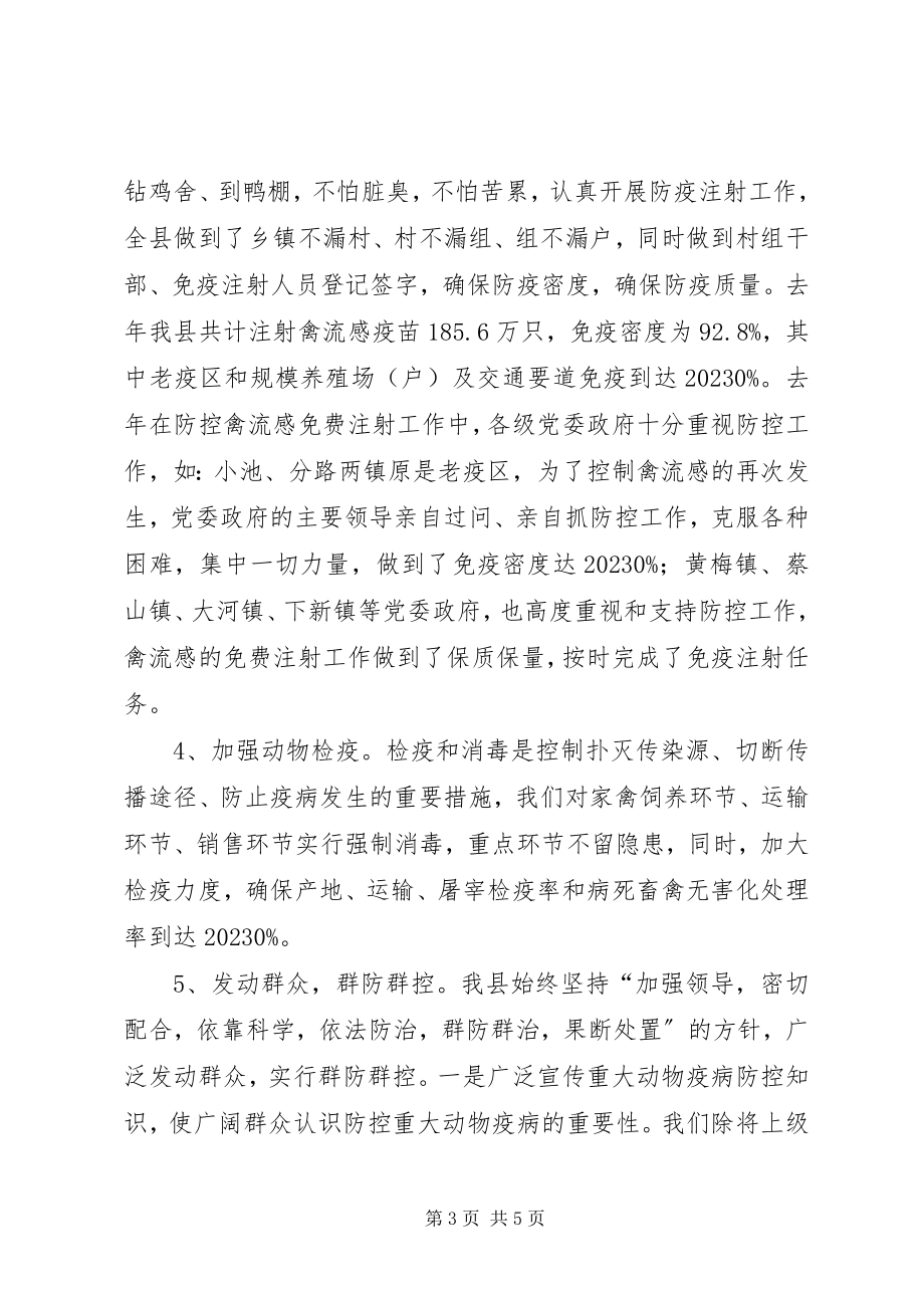 2023年防控性禽流感疫情工作的情况汇报.docx_第3页