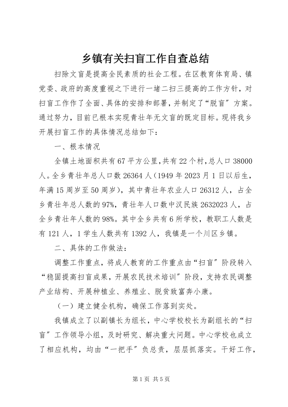 2023年乡镇有关扫盲工作自查总结.docx_第1页