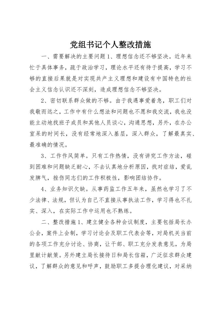 2023年党组书记个人整改措施.docx_第1页