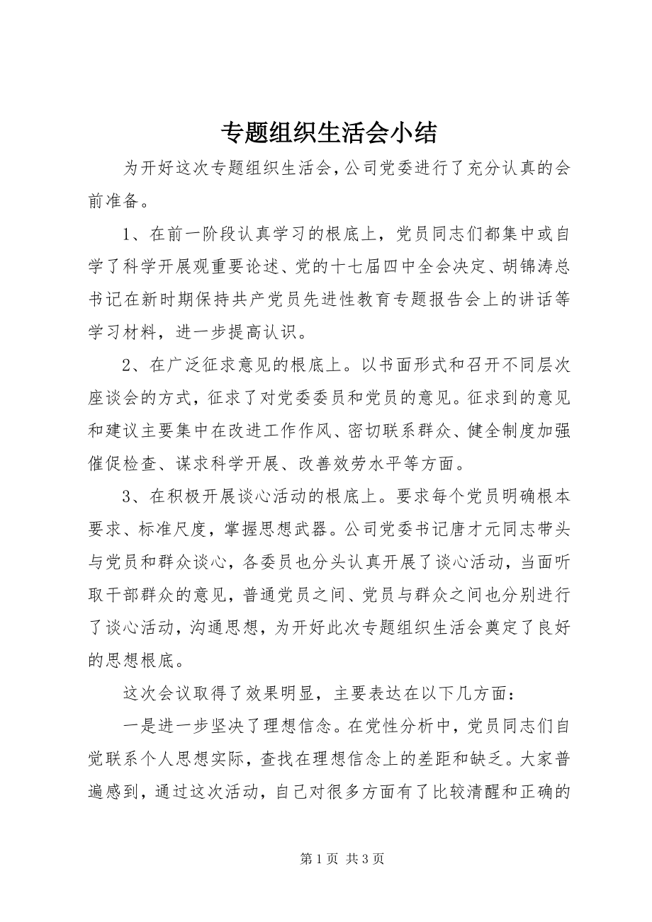 2023年专题组织生活会小结.docx_第1页