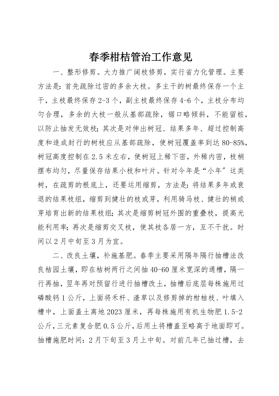 2023年春季柑桔管治工作意见新编.docx_第1页