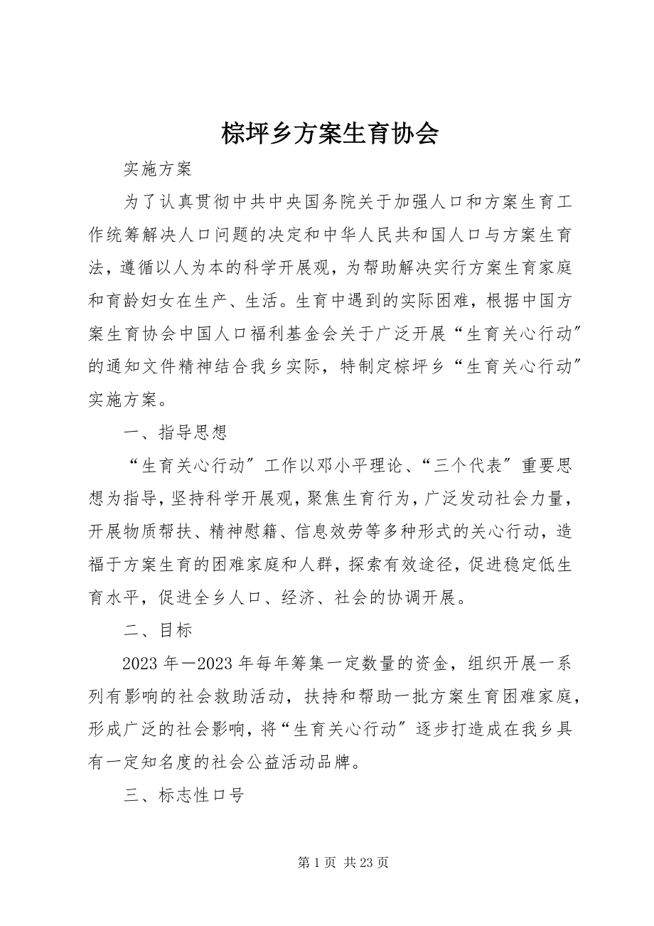 2023年棕坪乡计划生育协会.docx_第1页