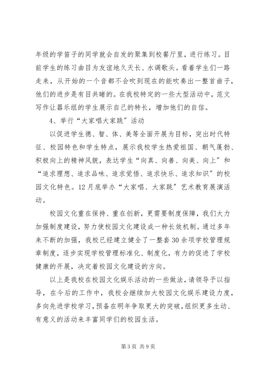 2023年文化娱乐活动总结.docx_第3页