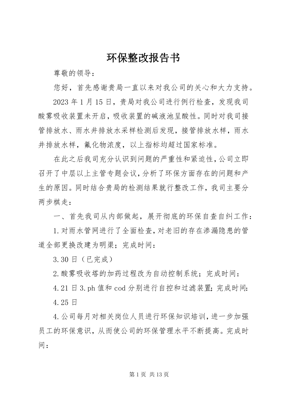 2023年环保整改报告书.docx_第1页