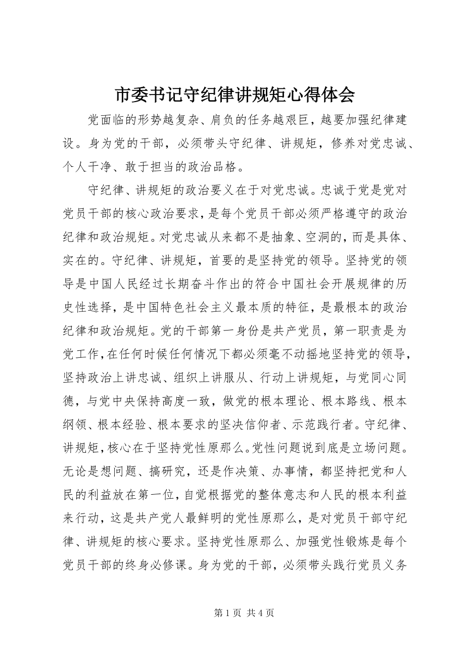 2023年市委书记守纪律讲规矩心得体会.docx_第1页