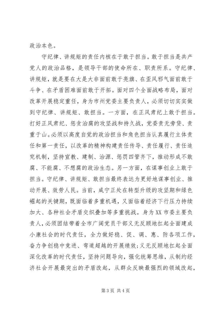 2023年市委书记守纪律讲规矩心得体会.docx_第3页