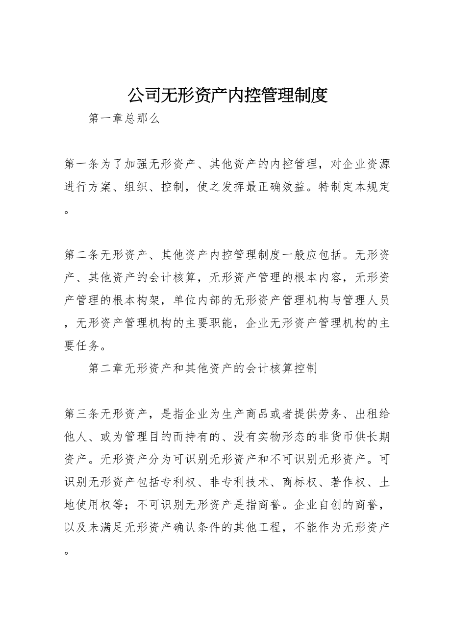 2023年公司无形资产内控管理制度.doc_第1页