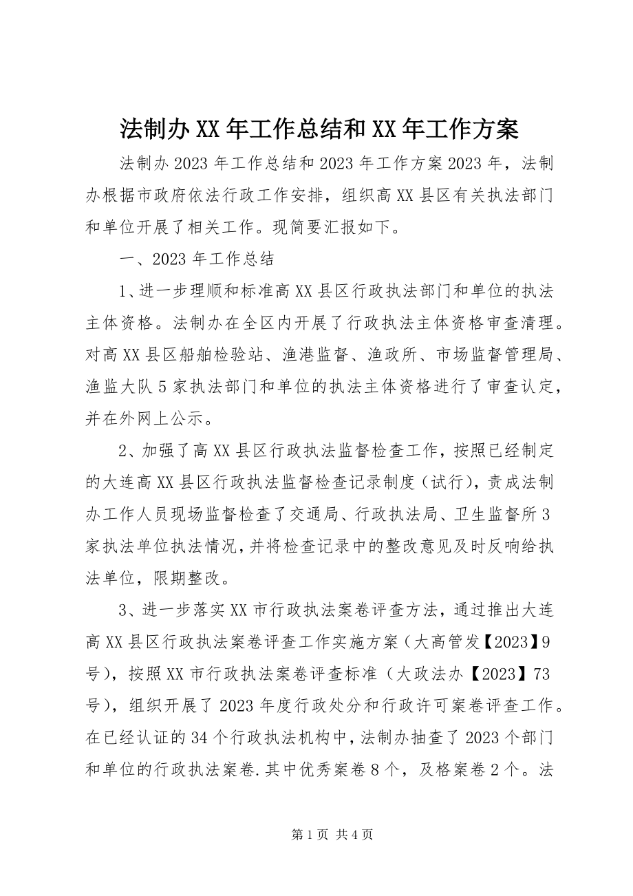 2023年法制办某年工作总结和某年工作计划.docx_第1页