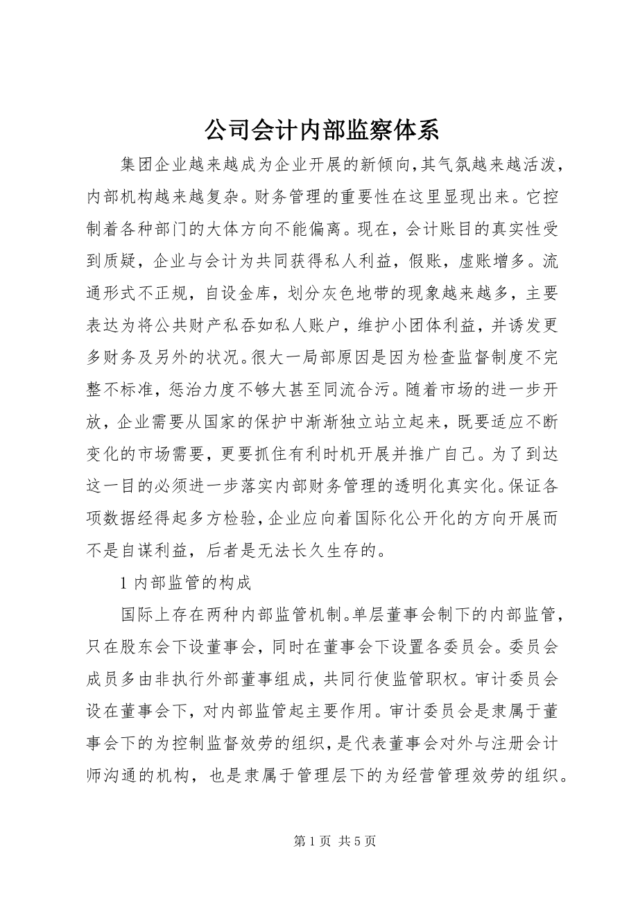 2023年公司会计内部监察体系.docx_第1页