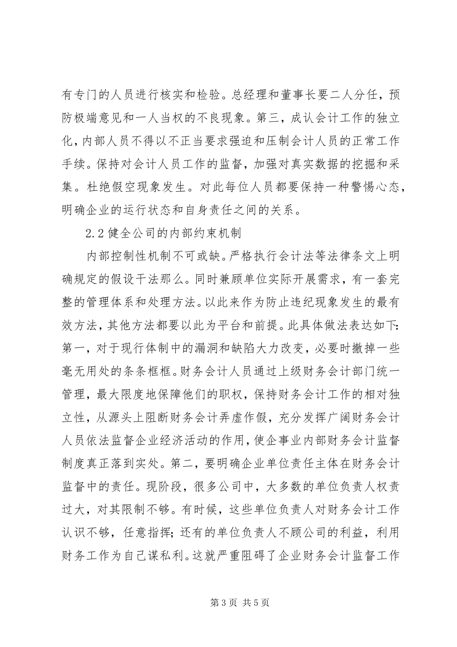 2023年公司会计内部监察体系.docx_第3页