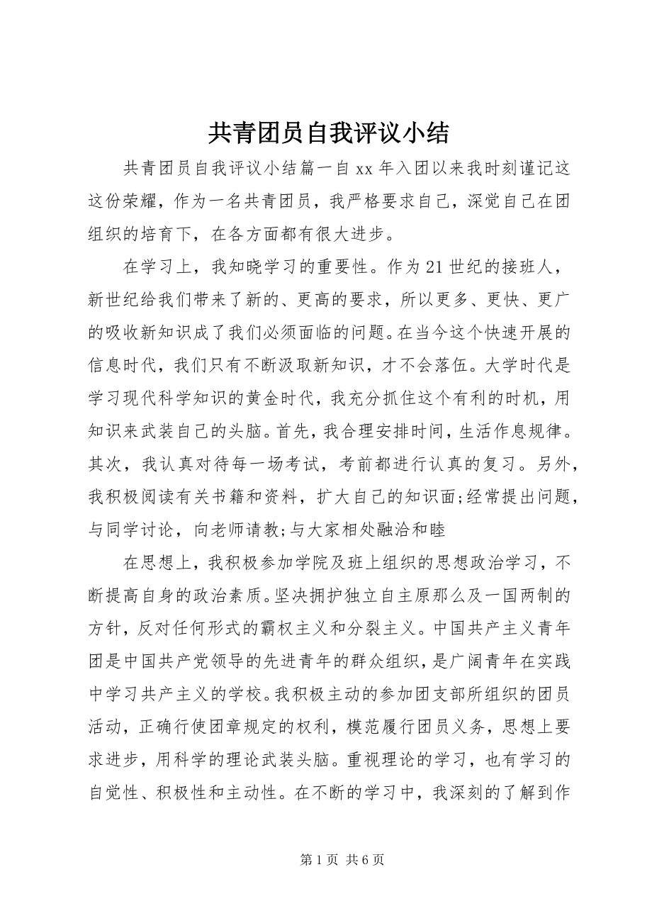 2023年共青团员自我评议小结.docx_第1页