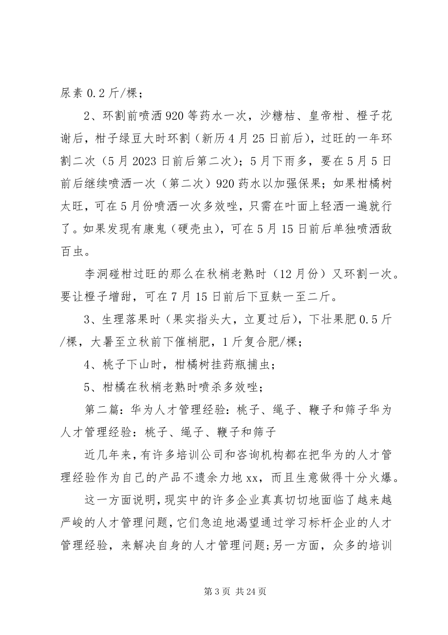 2023年桃子柑橘管理经验.docx_第3页