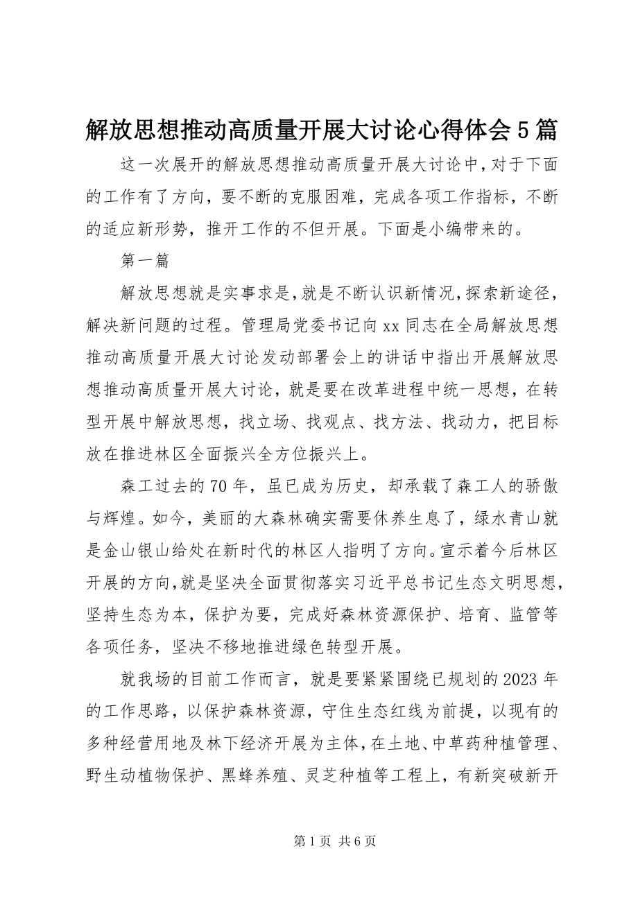 2023年解放思想推动高质量发展大讨论心得体会5篇.docx_第1页