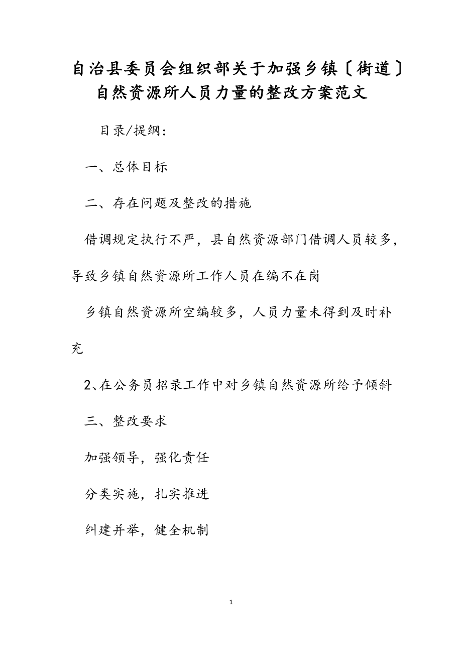 自治县委员会组织部关于2023年加强乡镇街道自然资源所人员力量的整改方案.docx_第1页