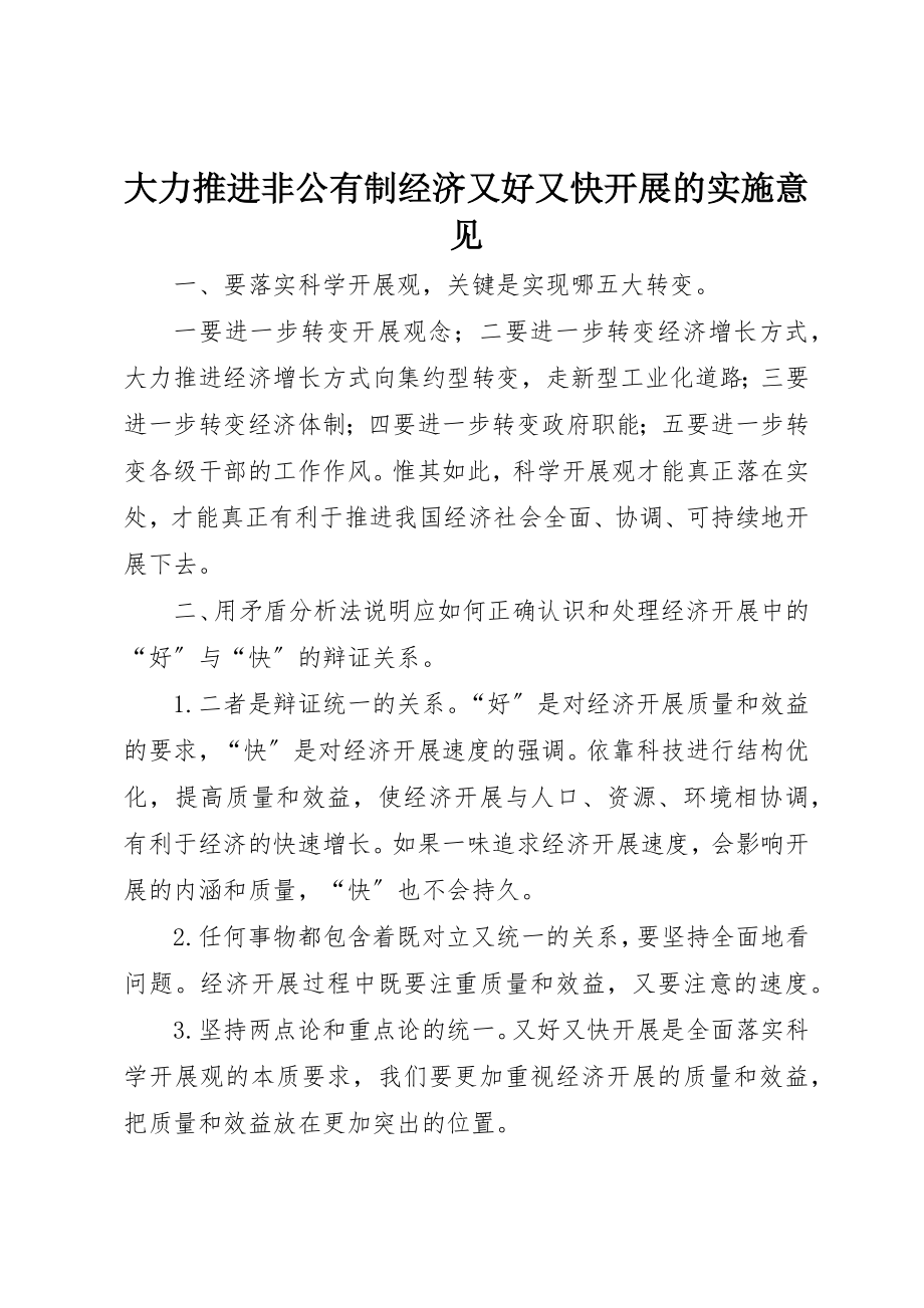 2023年大力推进非公有制经济又好又快发展的实施意见.docx_第1页