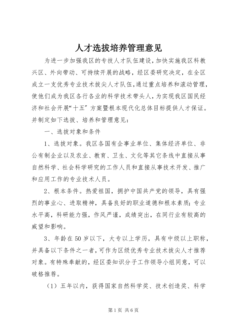 2023年人才选拔培养管理意见.docx_第1页