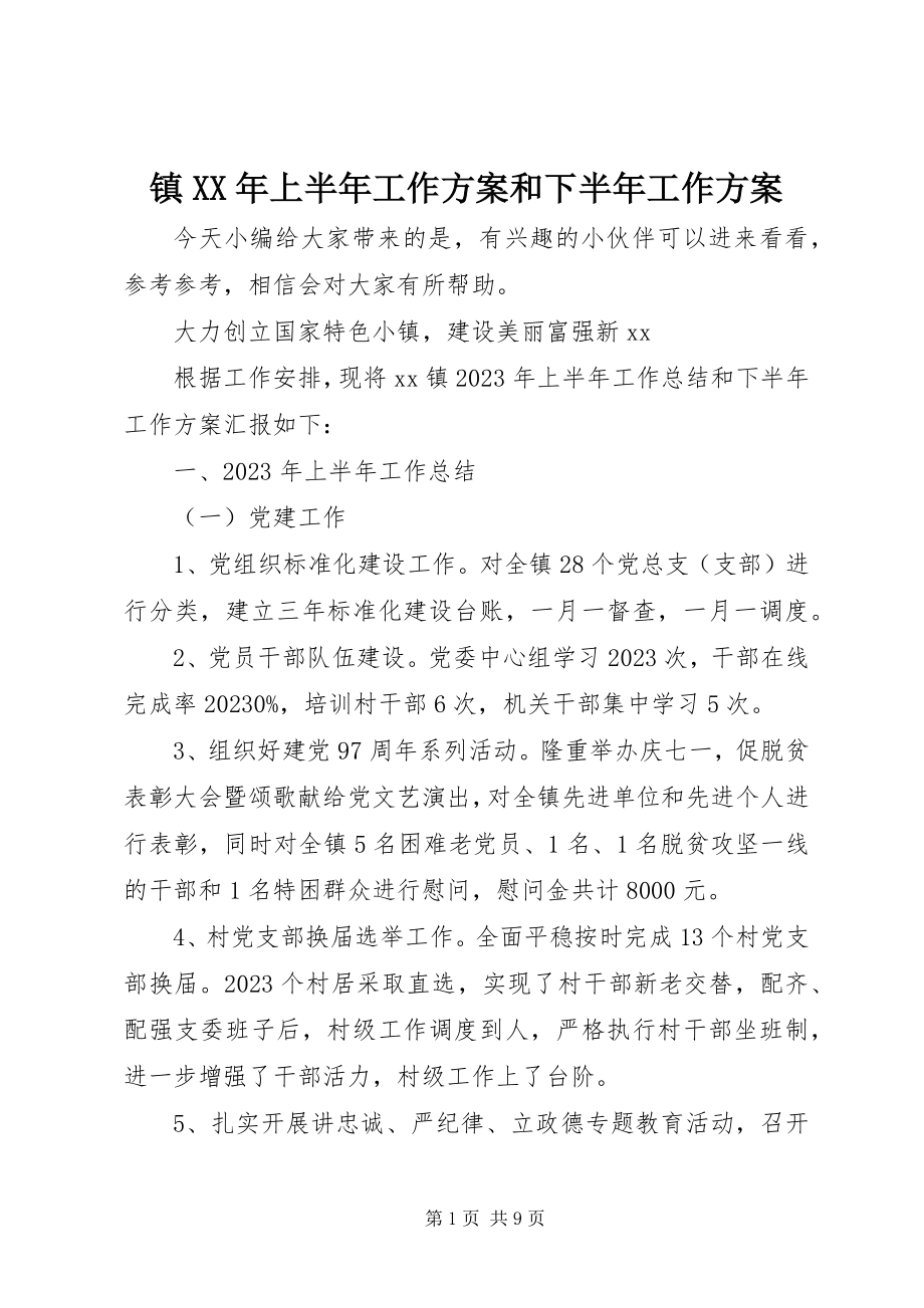 2023年镇上半年工作计划和下半年工作计划.docx_第1页