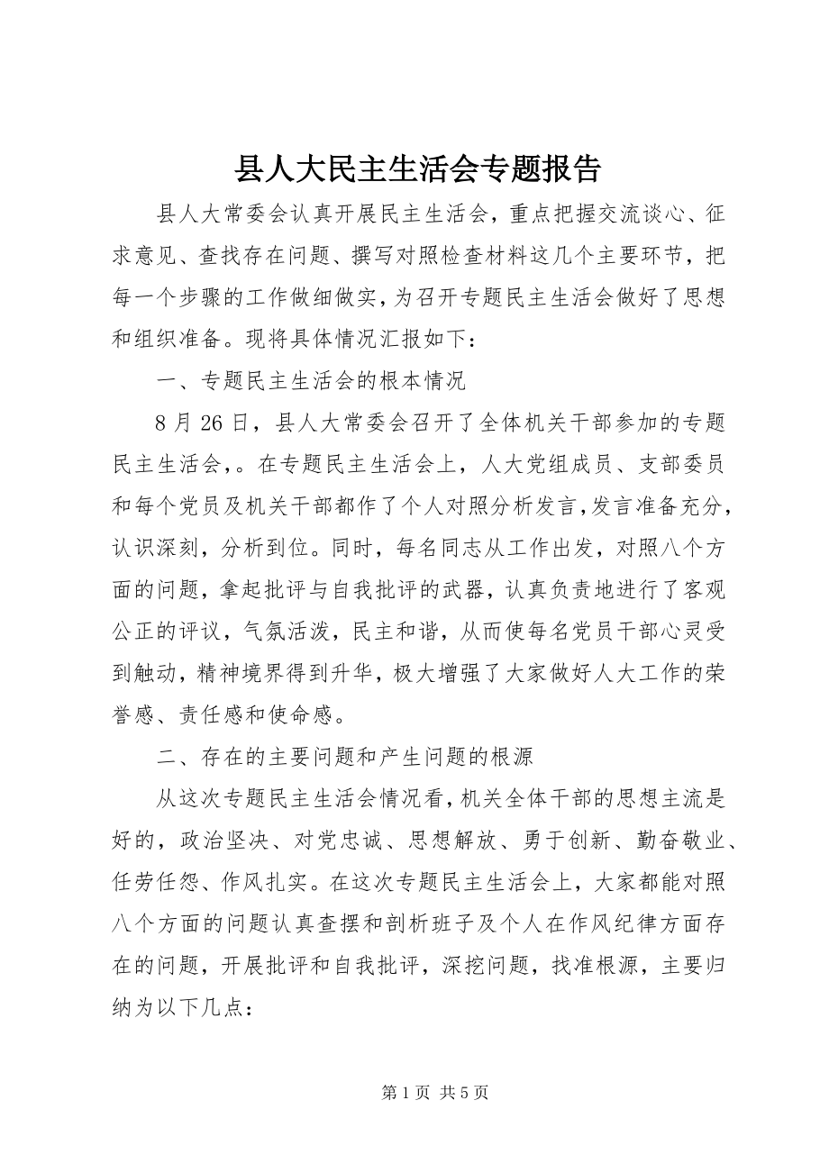 2023年县人大民主生活会专题报告.docx_第1页