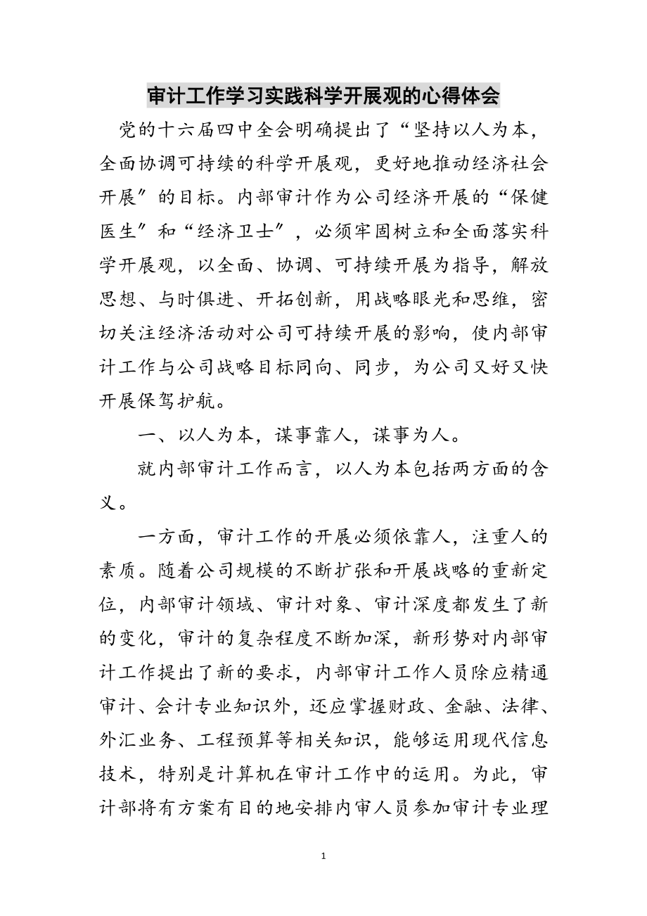 2023年审计工作学习实践科学发展观的心得体会范文.doc_第1页