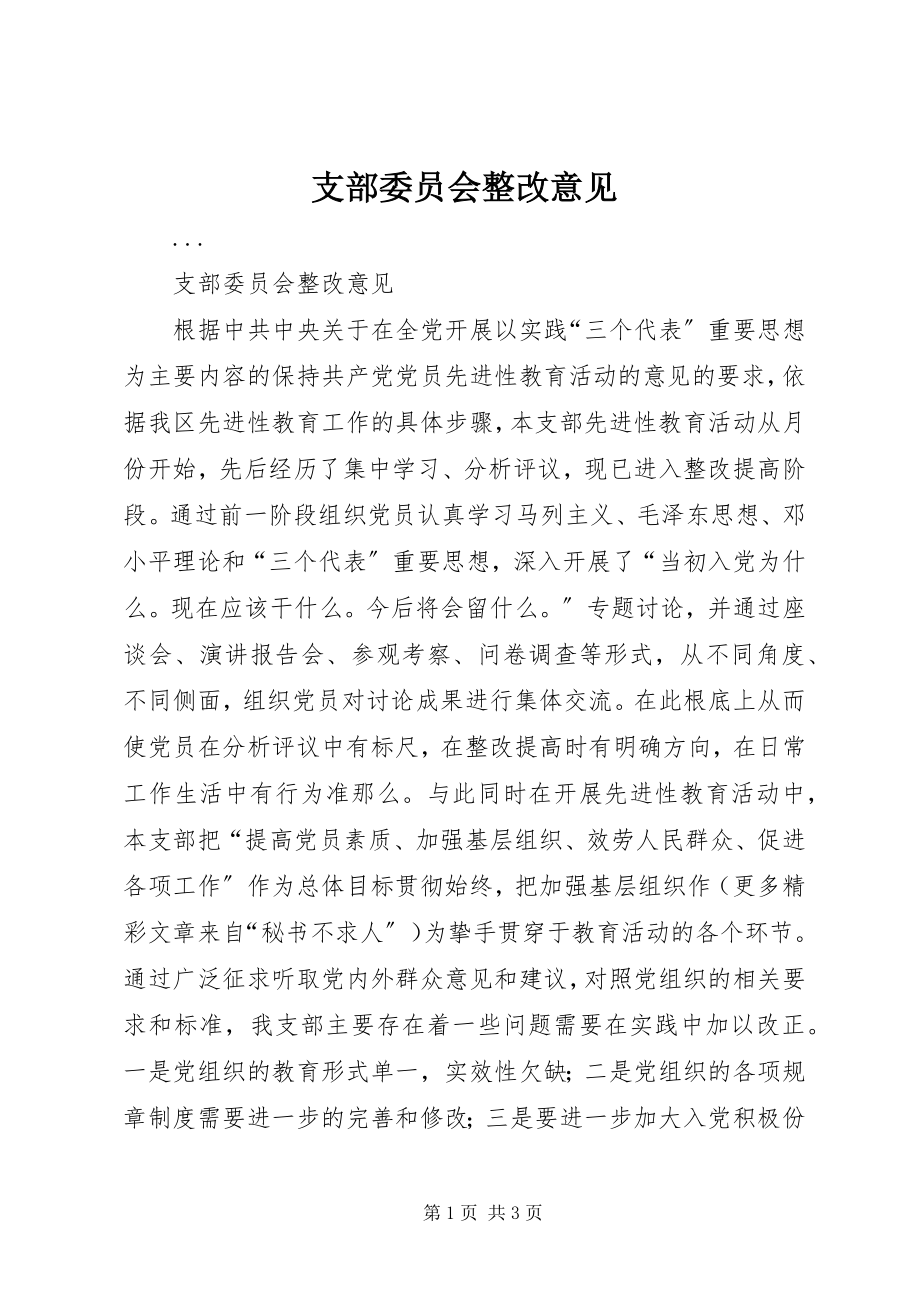 2023年支部委员会整改意见.docx_第1页