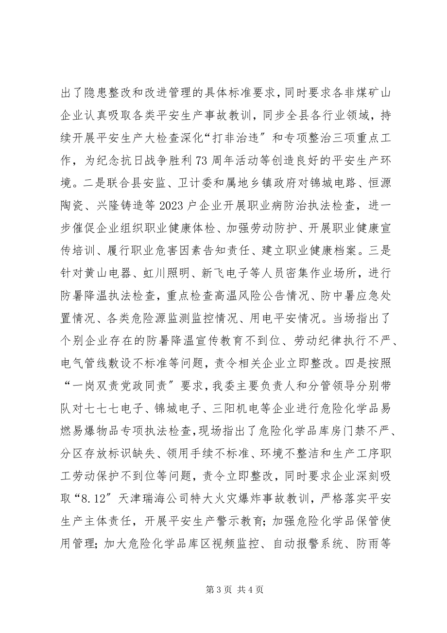 2023年乡镇经信委安全生产检查活动工作总结.docx_第3页