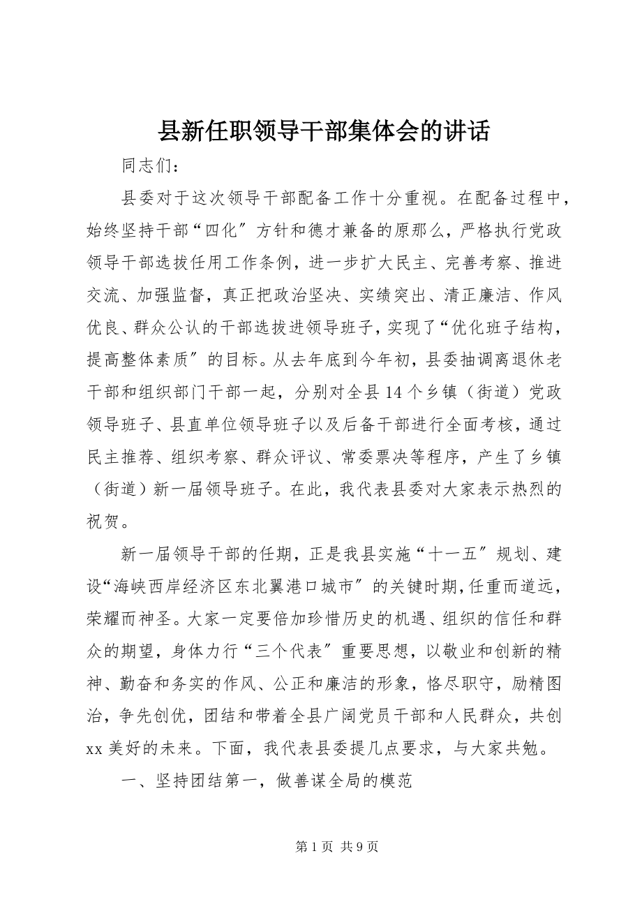 2023年县新任职领导干部集体会的致辞.docx_第1页