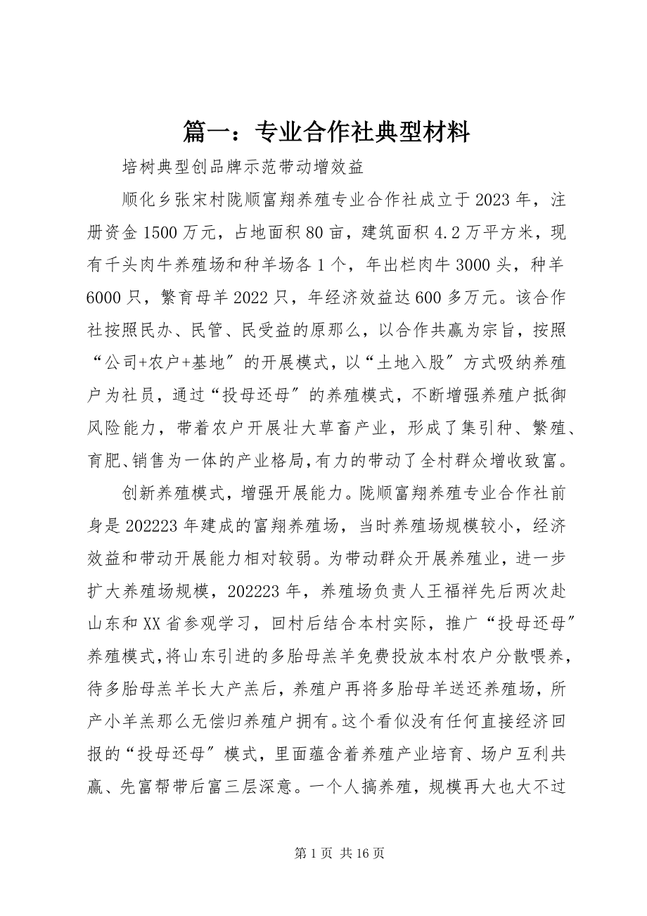 2023年专业合作社典型材料.docx_第1页