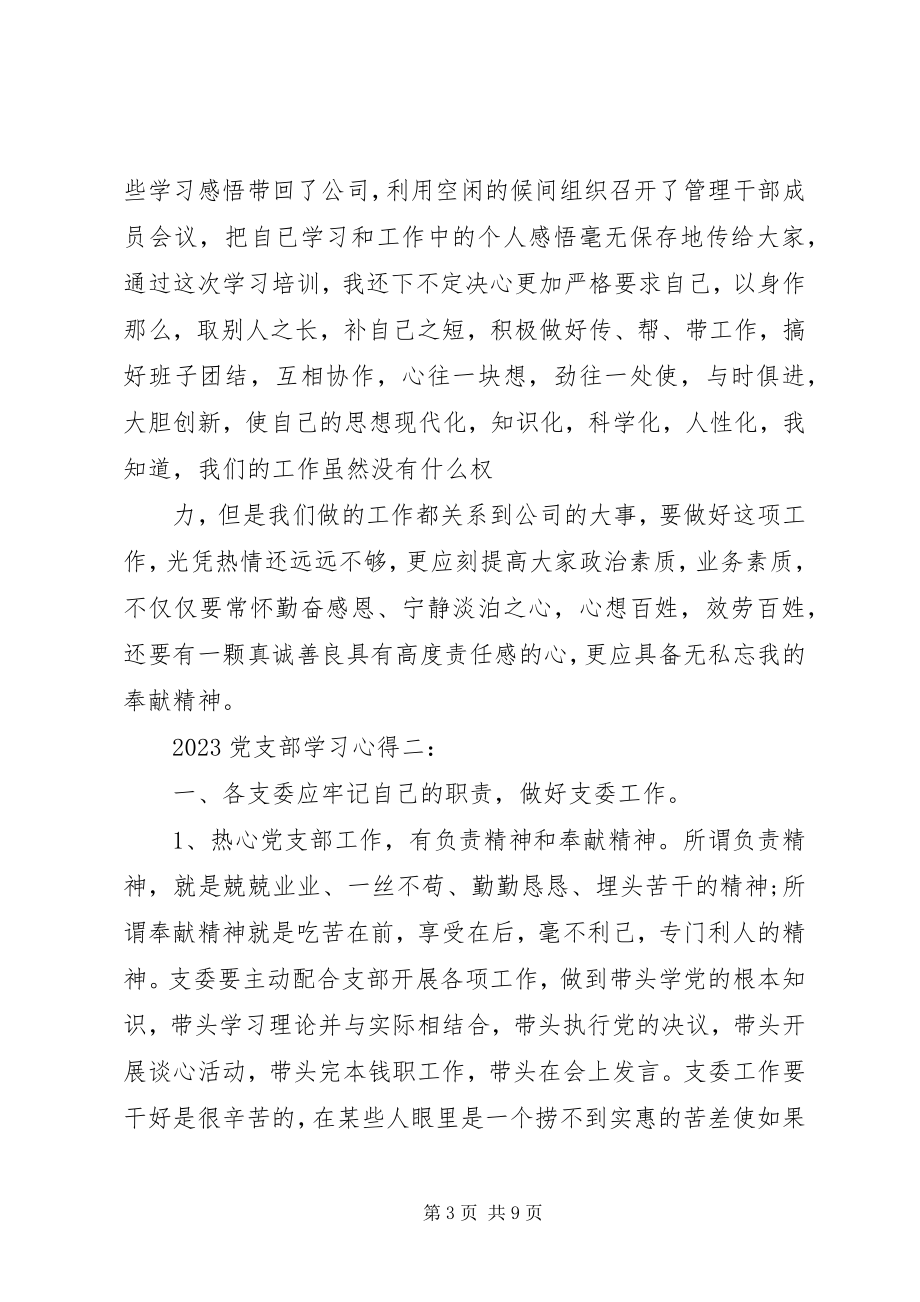 2023年党支部学习心得6篇.docx_第3页