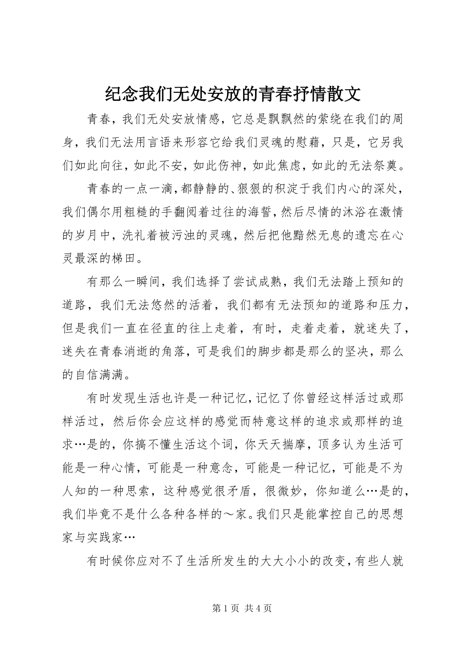 2023年纪念我们无处安放的青春抒情散文.docx_第1页